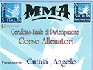 sito web